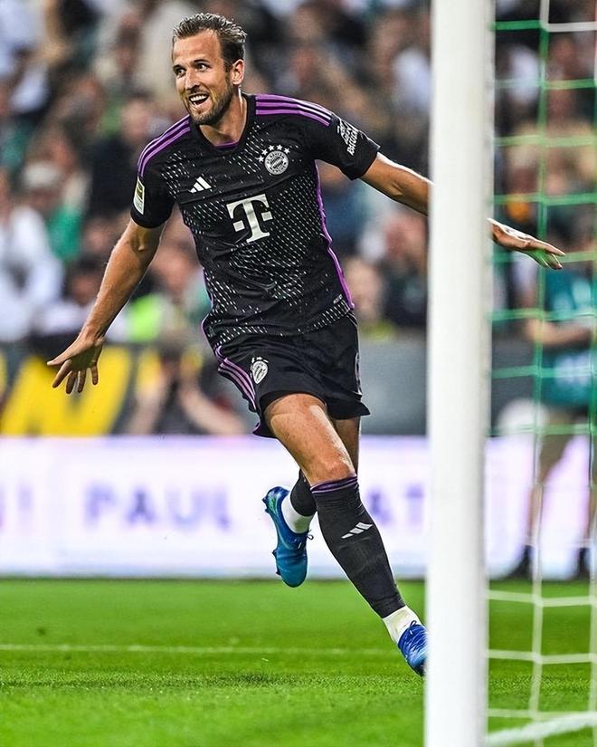 种永不言弃 种永不言弃