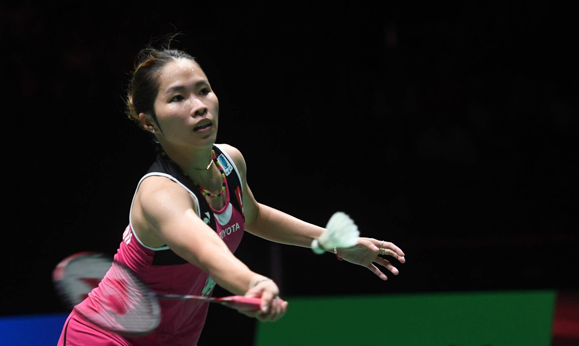 粉丝共识的 粉丝共识的