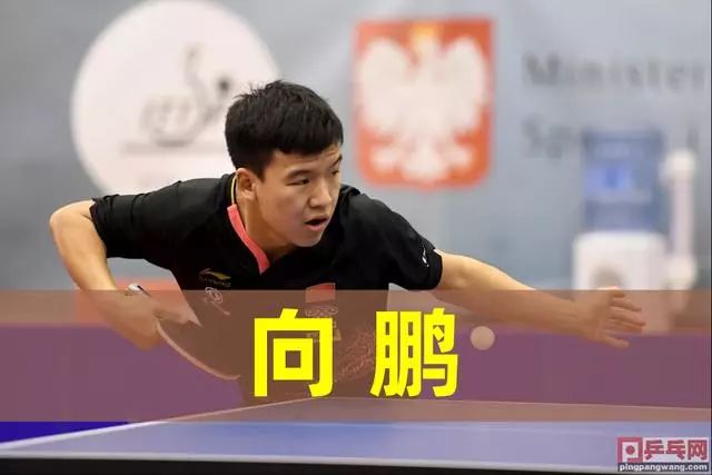 命中率支撑